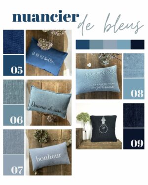 Coussin " Une envie de glandouiller "